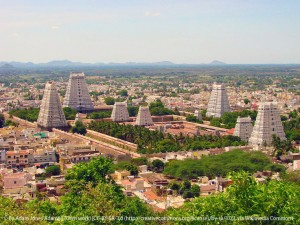 Annamalaiyar Temple