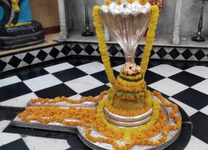 nageshwar-jyotir-lingam