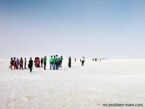 Le désert de sel "Rann of Kutch"