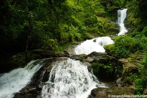 wayanad138
