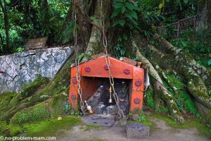 wayanad2