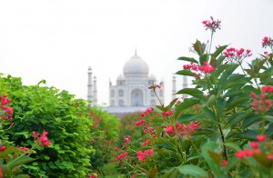 agra