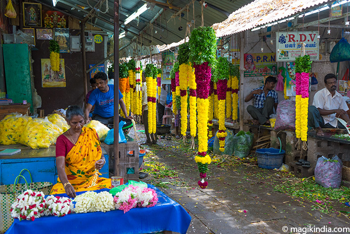 pondy34