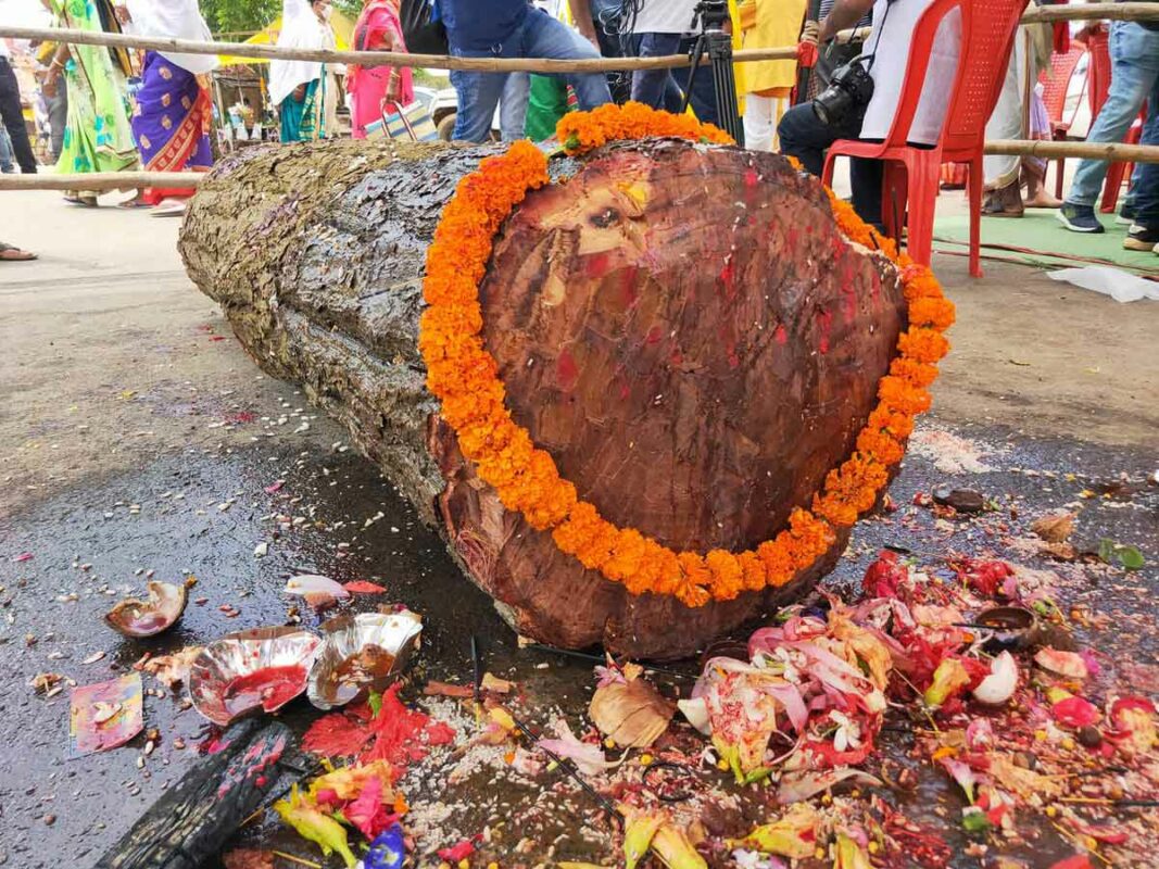 Dussehra Bastar, le grand festival ethnique du Chhattisgarh MAGIK INDIA
