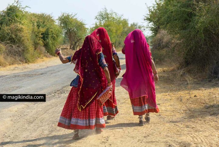 Bishnoi People, India's First Environmentalists - MAGIK INDIA